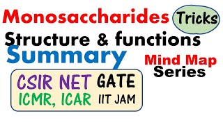 Monosaccharides structure and function biochemistry lecture [upl. by Eudora735]