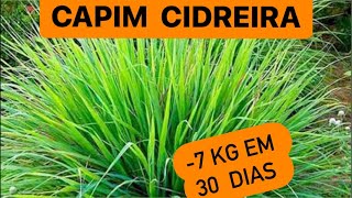 O CAPIM CIDREIRA COM ESSAS 2 PLANTAS FAZ VOCÊ PERDER 7 KG EM 30 DIAS  Dr Renato Silveira [upl. by Zelma425]