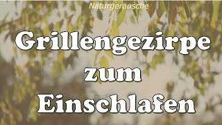 Grillengezirpe zum Einschlafen beruhigende Geräusche zum Einschlafen Naturgeräusche entspannen [upl. by Eimmas915]