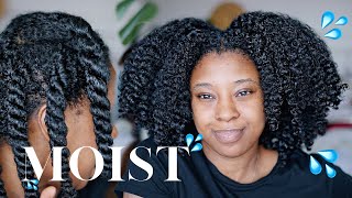 Moisturise DRY Natural Hair In 4 Easy Steps 🔢 Detailed wProduct Recommendations [upl. by Drawets]