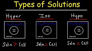 Hypertonic Hypotonic and Isotonic Solutions [upl. by Juieta]