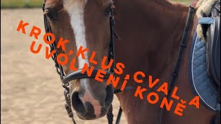 1 JEŽDĚNÍ NA KONI  krok klus a cval [upl. by Atinomar826]