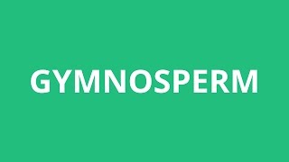 How To Pronounce Gymnosperm  Pronunciation Academy [upl. by Romilda]