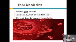 Bloedsomloop Bloedsamenstelling [upl. by Ogaitnas]