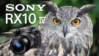 Sony RX10 Mk IV Review Ultimate Fixed Lens Camera [upl. by Kloster]