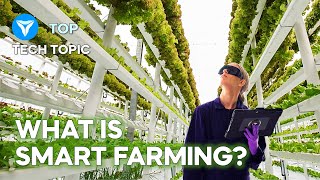 3 Innovative Smart Farming Vertical Farming  Future of Farming ▶ 1 [upl. by Luca]