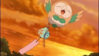 Not so fast Rowlet [upl. by Aleka]