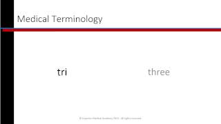 Phlebotomy Lesson 17 Medical Terminology [upl. by Fotinas]