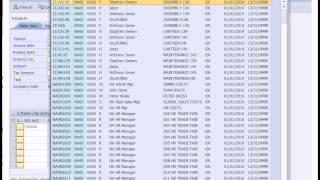 SAP Financial Accounting [upl. by Mcintosh]