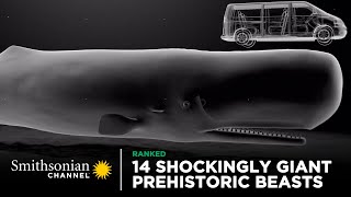 14 Shockingly Giant Prehistoric Beasts 🐋 Smithsonian Channel [upl. by Artenal881]