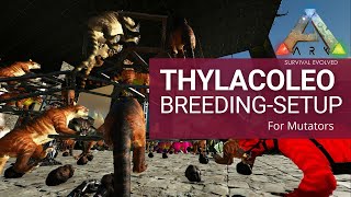 Thylacoleo BREEDINGSETUP for Mutator Usage  ARK Survival Evolved [upl. by Stein]