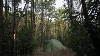 4 Freaky TRUE Camping Horror Stories [upl. by Fraya843]