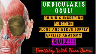 ORBICULARIS OCULI SIMPLIFIEDORIGIN INSERTION FUNCTION INNERVATION APPLIED ANATOMY [upl. by Lochner]