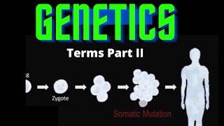 USMLE Step 1  Lesson 32  Genetic terms Part II [upl. by Rasecoiluj864]