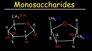 Monosaccharides  Glucose Fructose Galactose amp Ribose  Carbohydrates [upl. by Maximilian849]