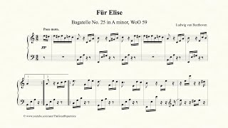 Beethoven Für Elise [upl. by Eizzik]