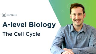 The Cell Cycle  Alevel Biology  OCR AQA Edexcel [upl. by Ennire]