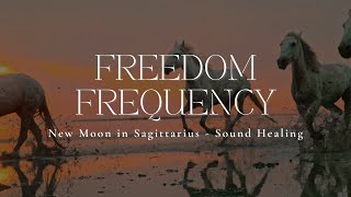 FREEDOM FREQUENCY  New Moon In Sagittarius  Sound Healing  528hz [upl. by Eisserc167]