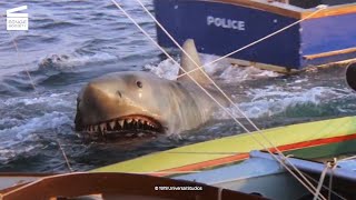 Jaws 2 Brody to the rescue HD CLIP [upl. by Smukler]