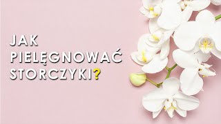 Pielęgnacja storczyków w domu [upl. by Nyrmak]