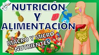 CONCEPTOS BÁSICOS DE NUTRICIÓN Y ALIMENTACIÓN  GuiaMed [upl. by Oeak986]