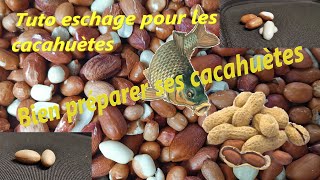 Comment bien préparer ses cacahuètesarachide pour la carpe tuto eschage [upl. by Macnamara678]