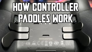 How Controller Paddles Work and Why Theyre Worth it [upl. by Klapp232]