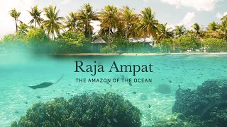 Raja Ampat  The Amazon of the Ocean [upl. by Yahsram]