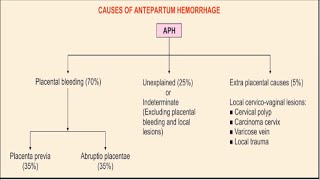 ANTEPARTUM HEMORRHAGE [upl. by Naicul]