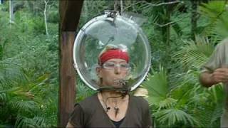 Im a celeb Martinas final trial High Quality [upl. by Gabriele]