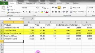 Microsoft Excel Tutorial A Basic Introduction [upl. by Braynard]