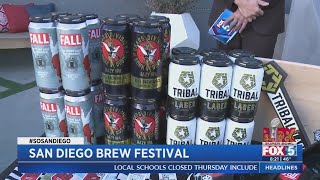 San Diego Brew Festival [upl. by Adrell]