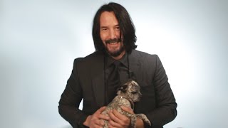 Keanu Reeves Plays With Puppies While Answering Fan Questions [upl. by Viens145]