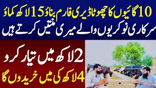 How to start Small Dairy Farm with 10 small cows In pakistan [upl. by Guenzi]