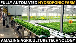 FULLY AUTOMATED HYDROPONIC FARM  Modern Hydroponic Farming  Amazing Agriculture Technology [upl. by Ladnar]