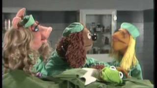 Kermit the Frog The Muppet Show Highlights [upl. by Yhtnomit]