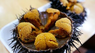 Japanese Street Food  GIANT SEA URCHIN Uni Sashimi Japan Seafood [upl. by Akeem]