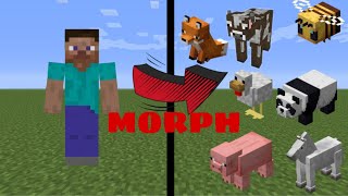 How to Morph Into Any Mob in Minecraft Tutorial [upl. by Hoeve997]