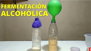 Experimento sobre la fermentación alcohólica procedimiento y materiales [upl. by Eelarak]