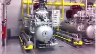 FRIGOREF NH3 COMPRESSORS REFRIGERATION SYSTEM MYCOM [upl. by Conlee132]