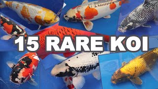 15 Most RARE and BEAUTIFUL KOI Fish Varieties [upl. by Akerley]