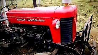 picando cana com Massey Ferguson 50X ensiladeira Nogueira 6600 vídeo de inscrito [upl. by Kornher165]