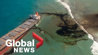 Mauritius oil spill Experts fear catastrophic ecological disaster [upl. by Llaccm246]