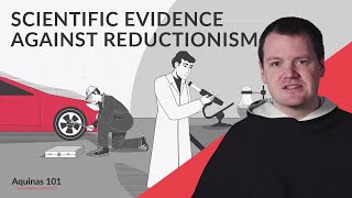 Scientific Evidence Against Reductionism Aquinas 101 [upl. by Ja314]