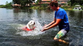 TEACHING KODA TO SWIM Super Cooper Sunday 103 [upl. by Rebe73]