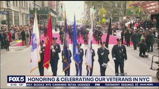 NYC Veterans Day Parade [upl. by Eugirne]