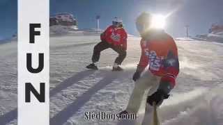 Sled Dogs Snowskates  New sport on the slopes [upl. by Tiebold]