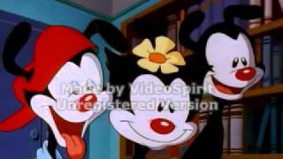 Animaniacs Chalkboard Bungle scene Original AudioFlipped [upl. by Macmullin856]