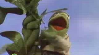 Sesame Street Jack amp The Beanstalk  Kermit News [upl. by Kendra]