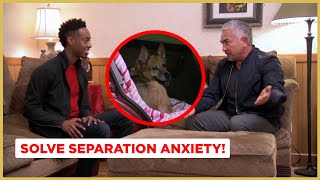 Solving Separation Anxiety  Dog Nation [upl. by Doownel]